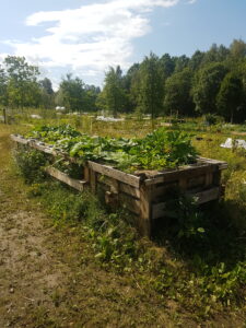 Kompostbinge