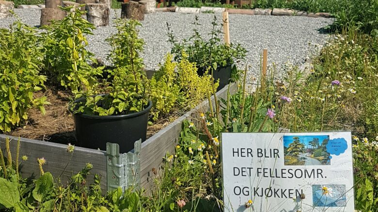 Kjøkkenområdet